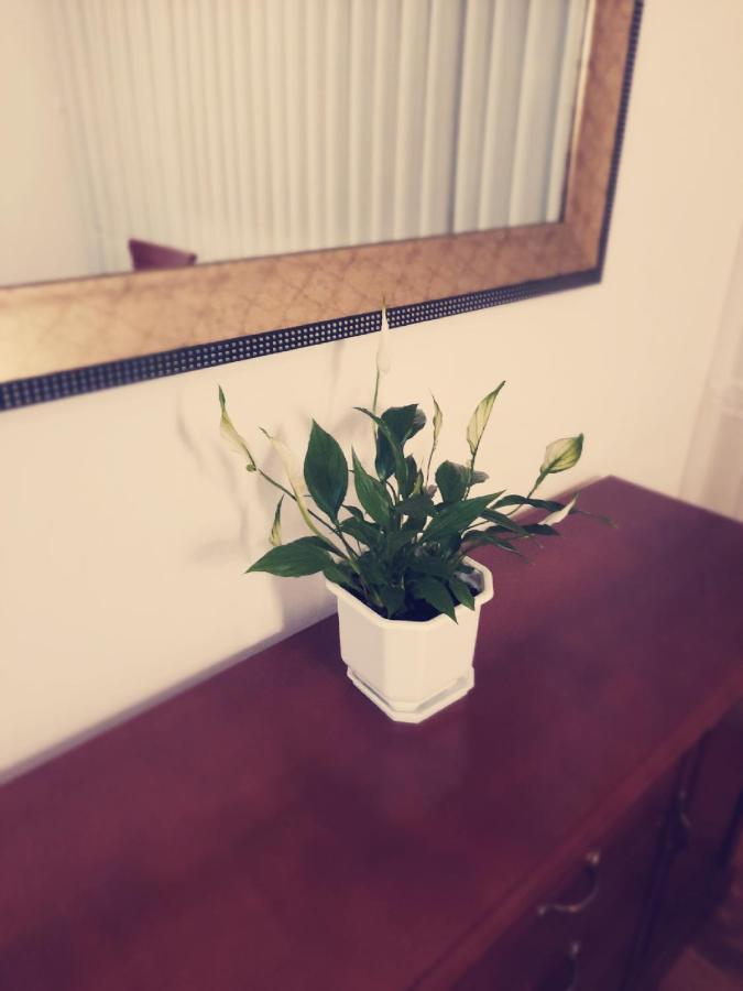 Apartman Peregrinus Korenica Dış mekan fotoğraf